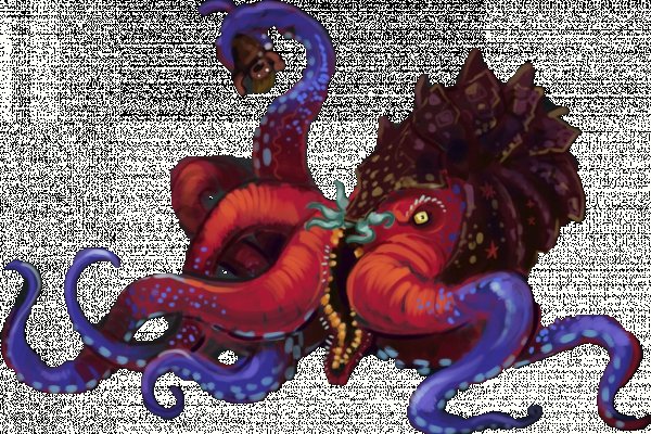 Kraken new