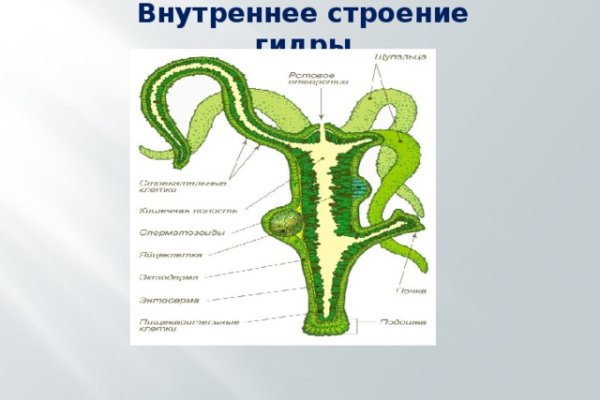 Сайт продажи нарко веществ кракен