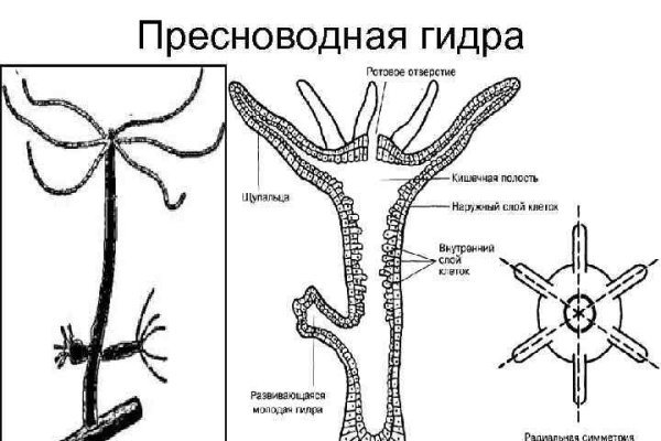 Обход блокировки BlackSprut