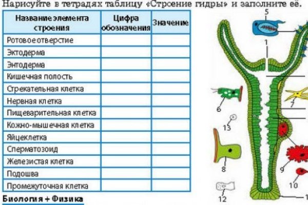 Как правильно пишется сайт омг